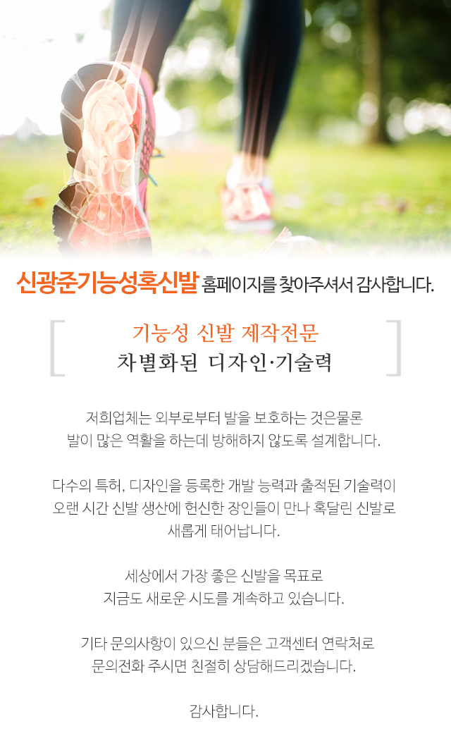 신광준기능성혹신발_내용영역